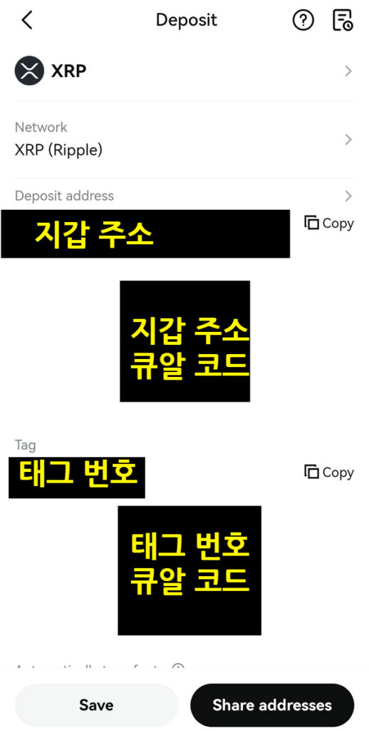 비트겟 리플 주소 생성