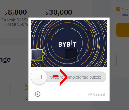 bybit puzzle