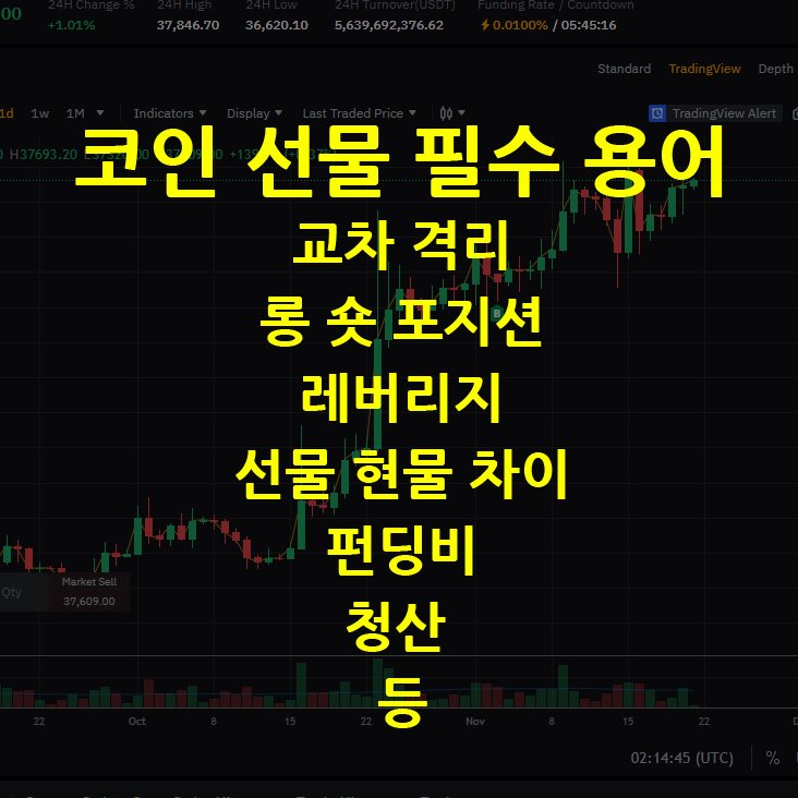코인 선물 용어