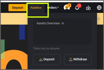 bybit assets