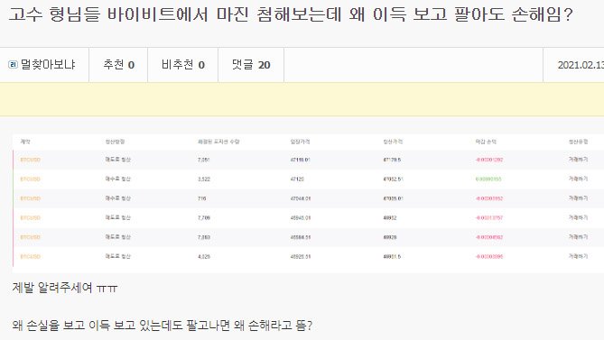 바이비트 이득 보고 손해