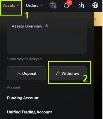 BYBIT WITHDRAW