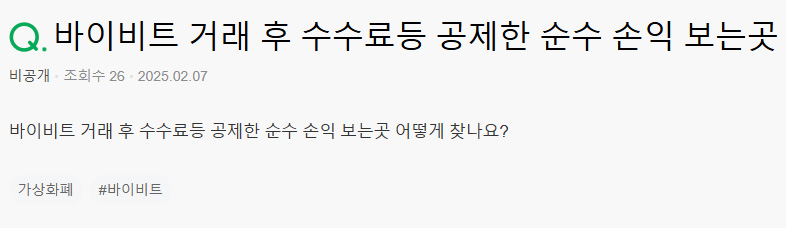 바이비트 순손익