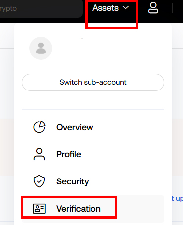 Okx Verification 메뉴 접속