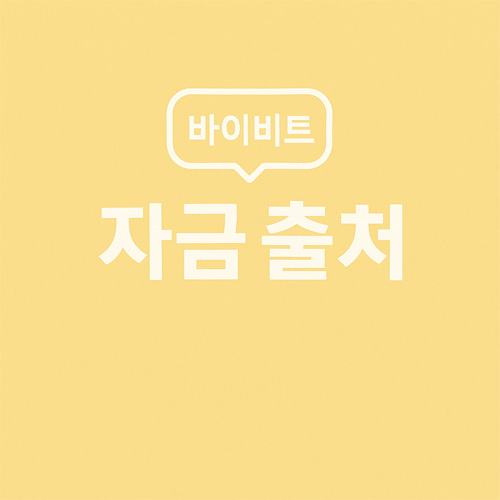 바이비트 자금 출처 소명을 상징하는 심플한 인포그래픽 이미지